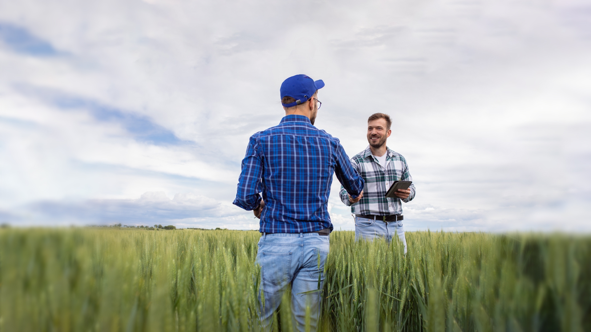 two people shaking hands in a field